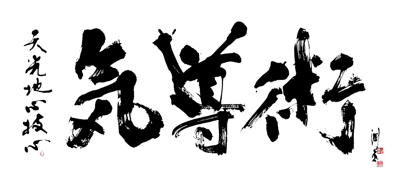 書『気導術』